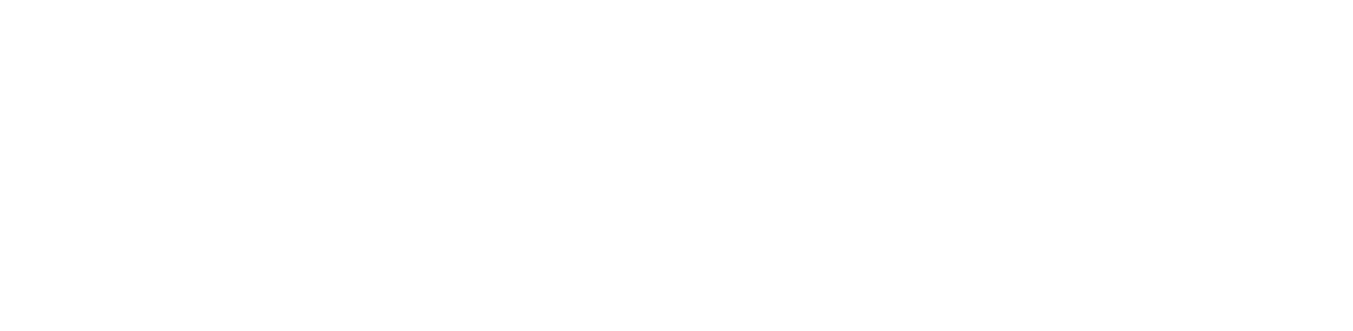 Summum Virtual